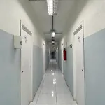 Castelo Branco Albergue